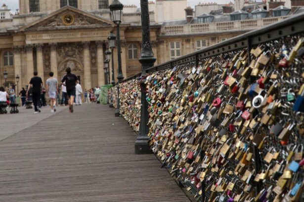 La Mairie de Paris se lance dans les selfies, en vue d'arrêter la folie des cadenas.