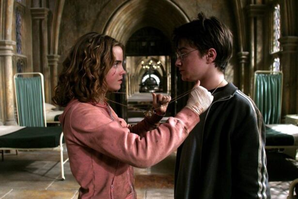Harry Potter,toujours dans le coeur des jeunes.