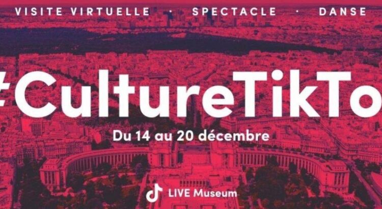 TikTok déconfine la culture en dévoilant les collections des musées français en live