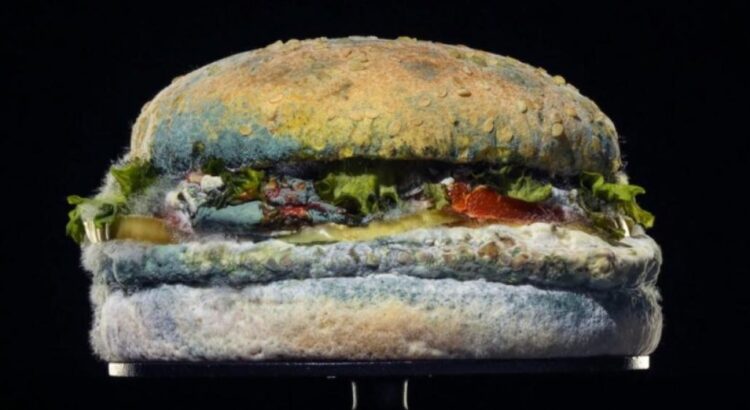 Burger King zoome volontairement sur ses burgers moisis pour parler à ses clients