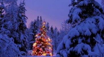 Cauet organise une course aux cadeaux dans un magasin BUT pour Noël 2019