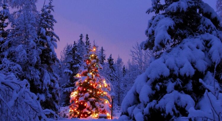 Cauet organise une course aux cadeaux dans un magasin BUT pour Noël 2019