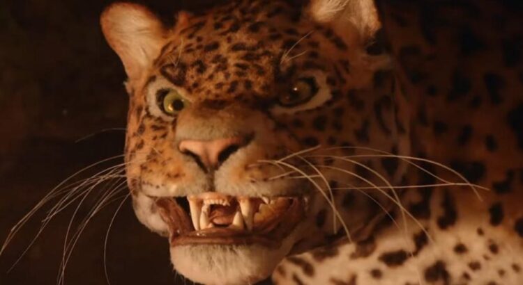 WWF invite le grand public à adopter un jaguar dans une campagne intense