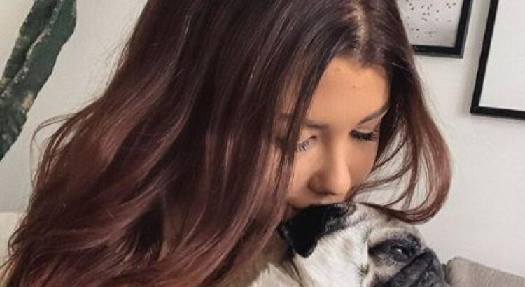 Les influenceurs s'engagent contre l'abandon des animaux auprès de la SPA