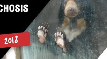 Instagram : Les animaux dun zoo passent en mode boomerang pour éveiller les consciences
