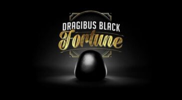 Le live fou (et inédit) de Dragibus Black...pendant 35 jours !