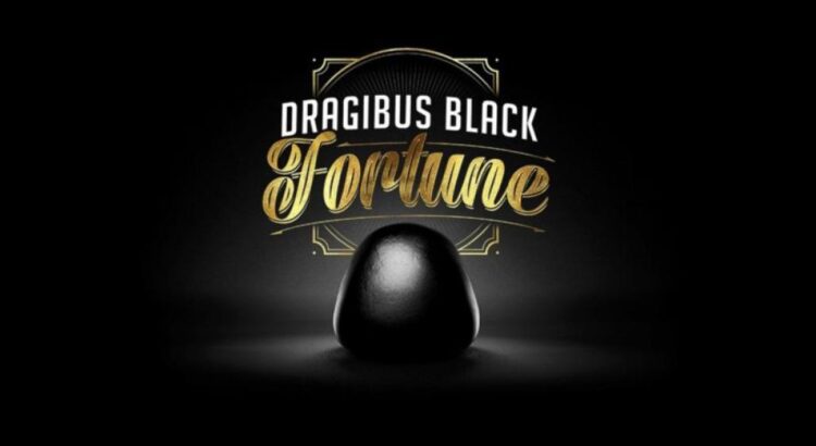 Le live fou (et inédit) de Dragibus Black…pendant 35 jours !