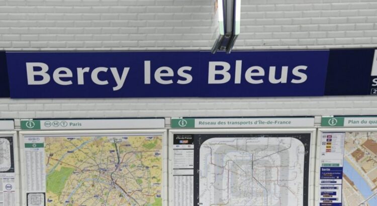 La RATP réinvente ses stations de métro pour célébrer les Bleus, une opération qui a tout bon