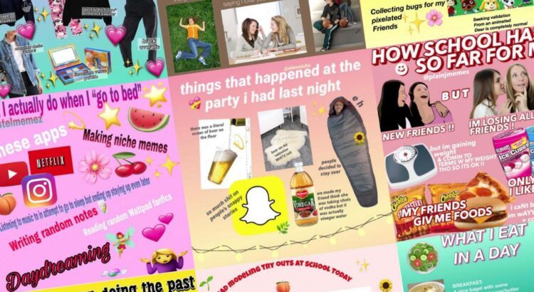 Les "Niche Memes", les nouveaux journaux intimes de la Génération Z sur Instagram ?