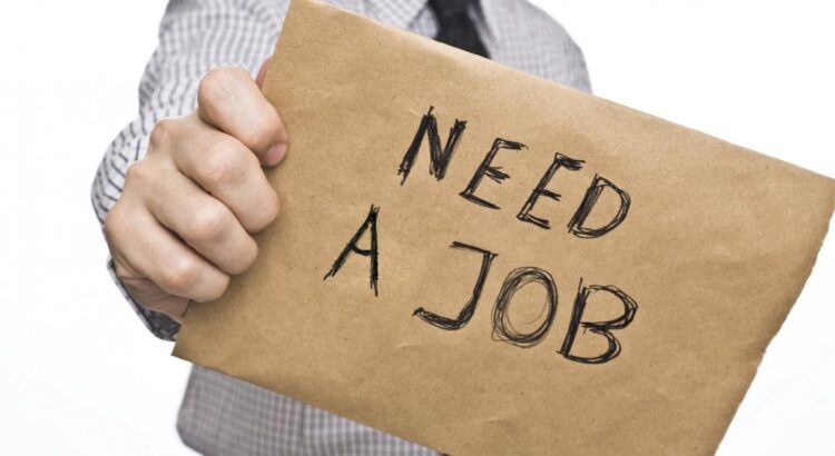 La jeune génération se dévoile sur le marché de l'emploi !