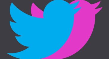 Mobile : #Affinitweet, la fonctionnalité de Twitter qui fait matcher les jeunes avant la Saint-Valentin