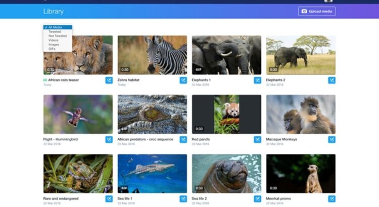 Twitter renforce son offre vidéo en lançant Media Studio, les créateurs conquis ?