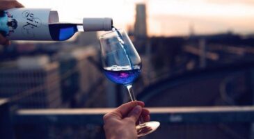 Le vin bleu, la boisson innovante de lété, partie pour sinstaller auprès des moins de 30 ans ?