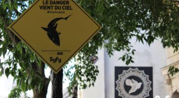 Une chasse aux requins ouverte dans le monde réel pour la sortie du film Sharknado 4