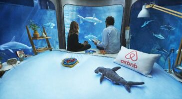 Airbnb : La nuit romantique avec des requins en plein Paris affole les taux d'engagement, expérience réussie