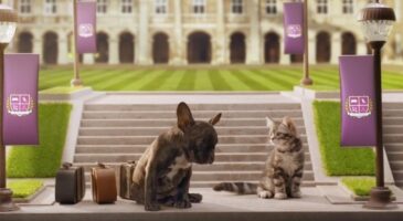 Whiskas mise sur des chats et l'esprit Erasmus pour séduire les jeunes