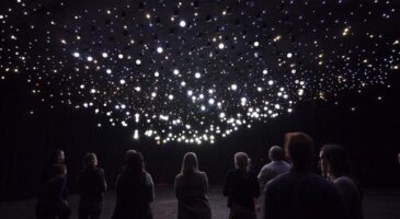 Stella Artois met (vraiment) des étoiles dans les yeux des jeunes pour Noël 2015