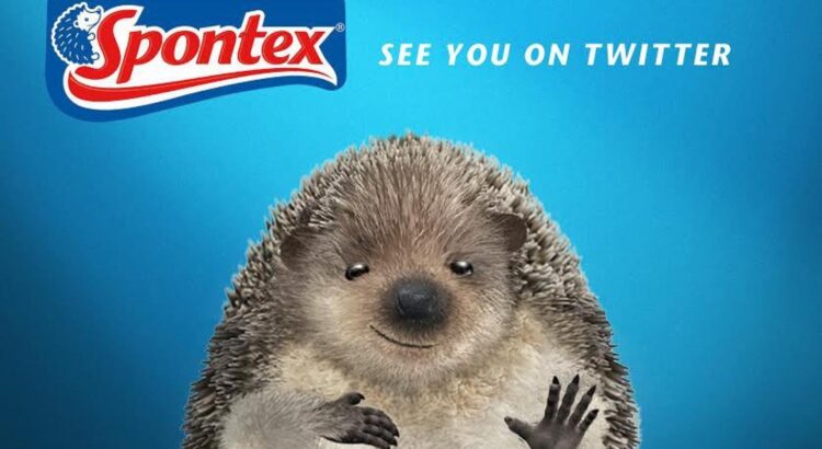 Spontex est le roi du ménage...et de la journée !