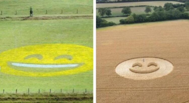 L’émoji le plus grand du monde !