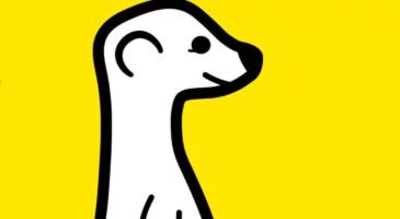 Meerkat, bientôt le réseau social préféré des marques ?