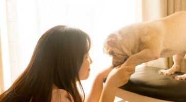 7 jeunes sur 10 sensibles à la cause animale