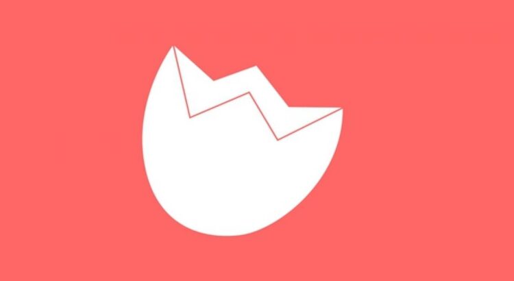 Wedo, à l'origine d'une nouvelle tendance ?