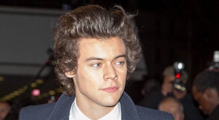 Harry Styles, héros de la littérature jeune.