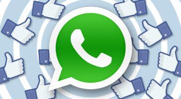 Whatsapp : Le cap des 600 millions d’utilisateurs franchi, à quand la monétarisation de l’application ?
