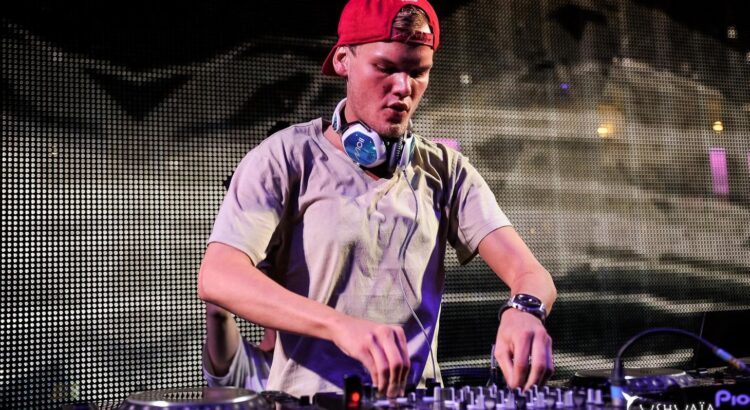 Avicii sait mener sa carrière !