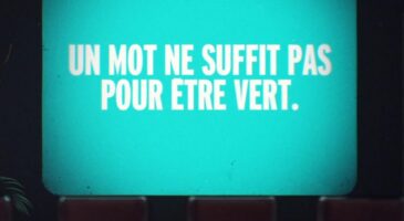 ilek et Buzzman dénoncent le greenwashing, "en vert et contre tous"