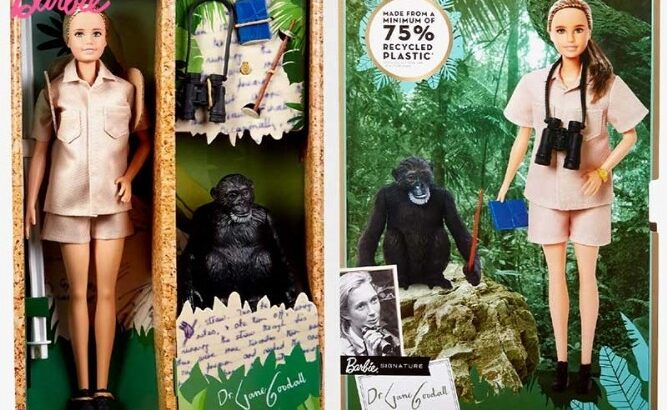 lidl-barbie-arive-lego-idees-marketing-barbie-lance-poupee-primatologue-jane-goodall-1-f